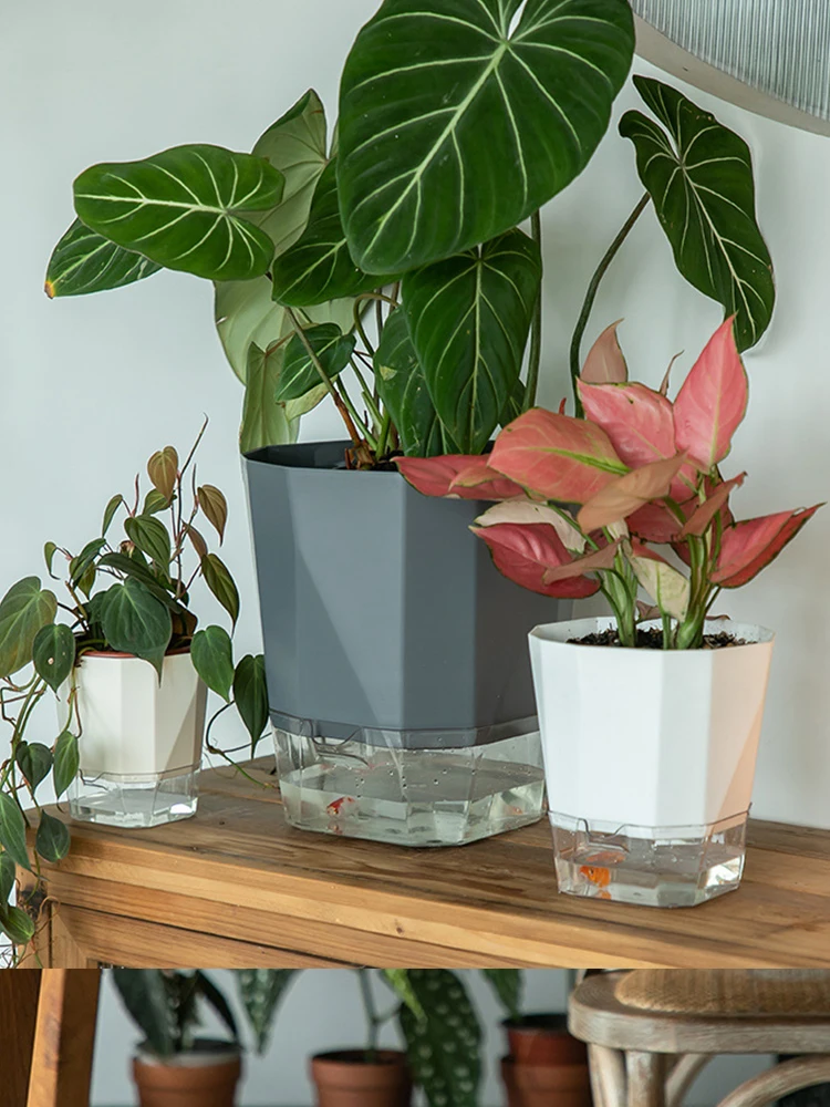 怠惰な自動吸水植木鉢でほったらかしで咲く花を育てる方法