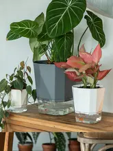 怠惰な自動吸水 植木鉢 家 庭園芸