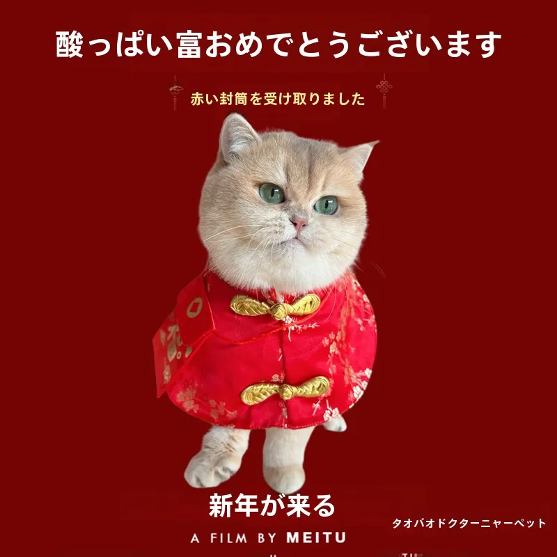 新年用ペット用衣装：中国風赤い封筒デザインのマントタイプが室内飼育に最適