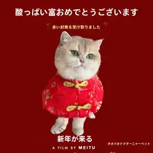新年用ペット用衣装【犬猫対応・中国風・赤い封筒デザイン・マントタイプ】