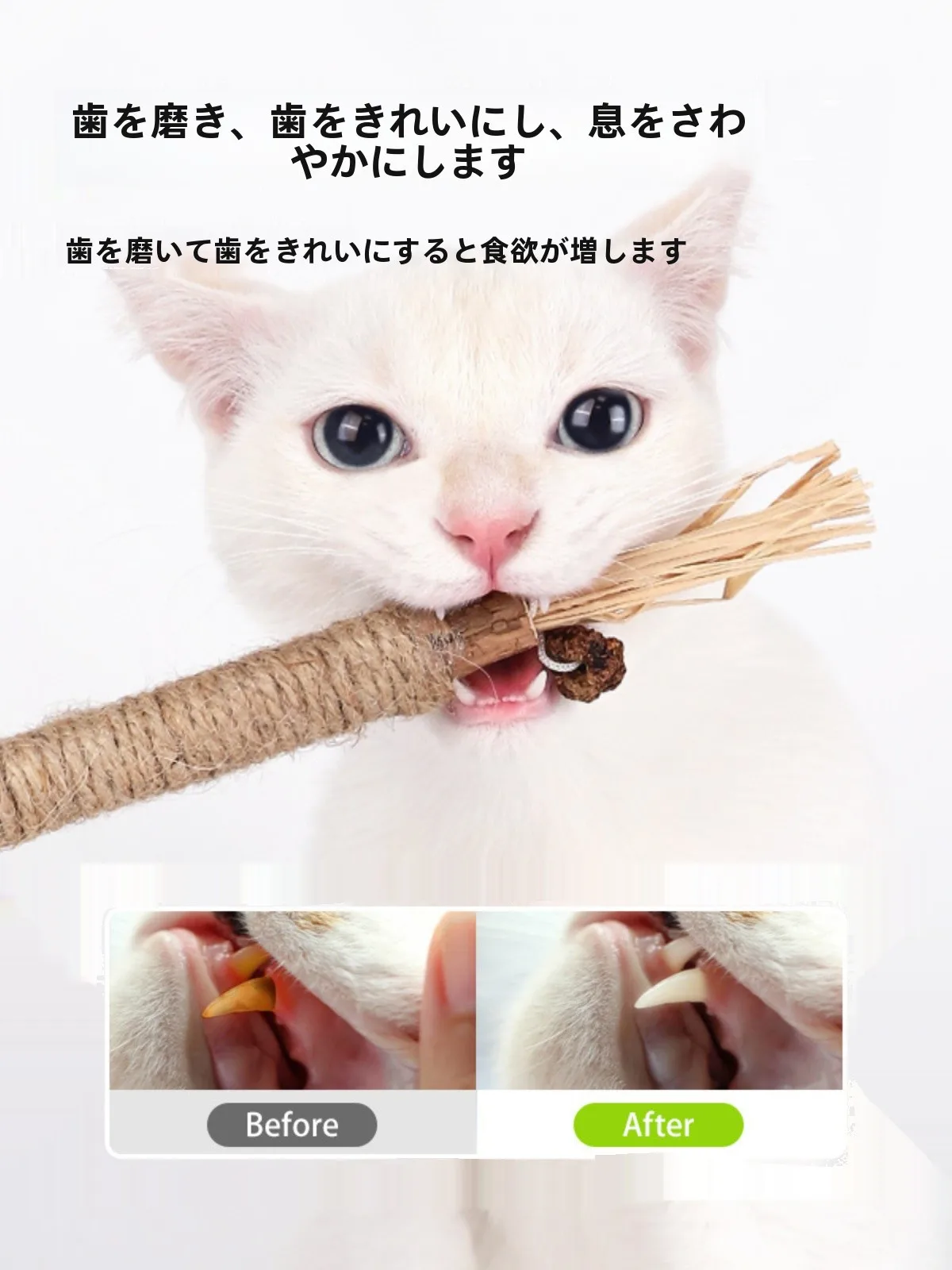 ダニの噛み跡に悩むなら、猫の磨き歯おもちゃでどうする？