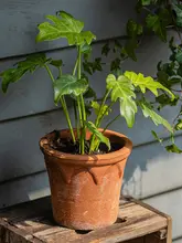 レトロ風 赤陶器花瓶【通気性・吸水性・インテリア装飾用】