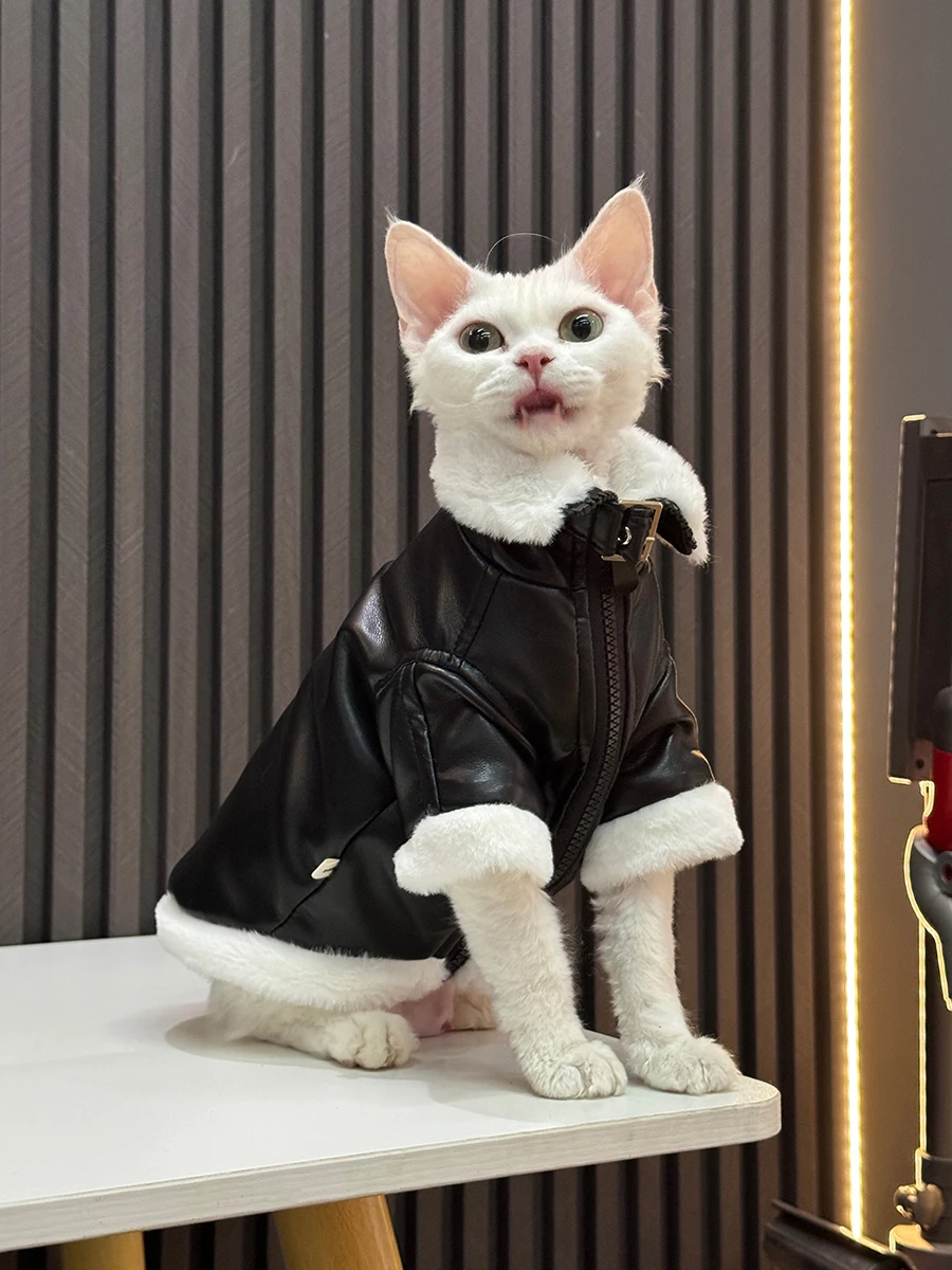 スフィンクス猫向け加毛厚手冬用ジャケット：一人暮らしの寒さ対策に最適なレザー素材の選択