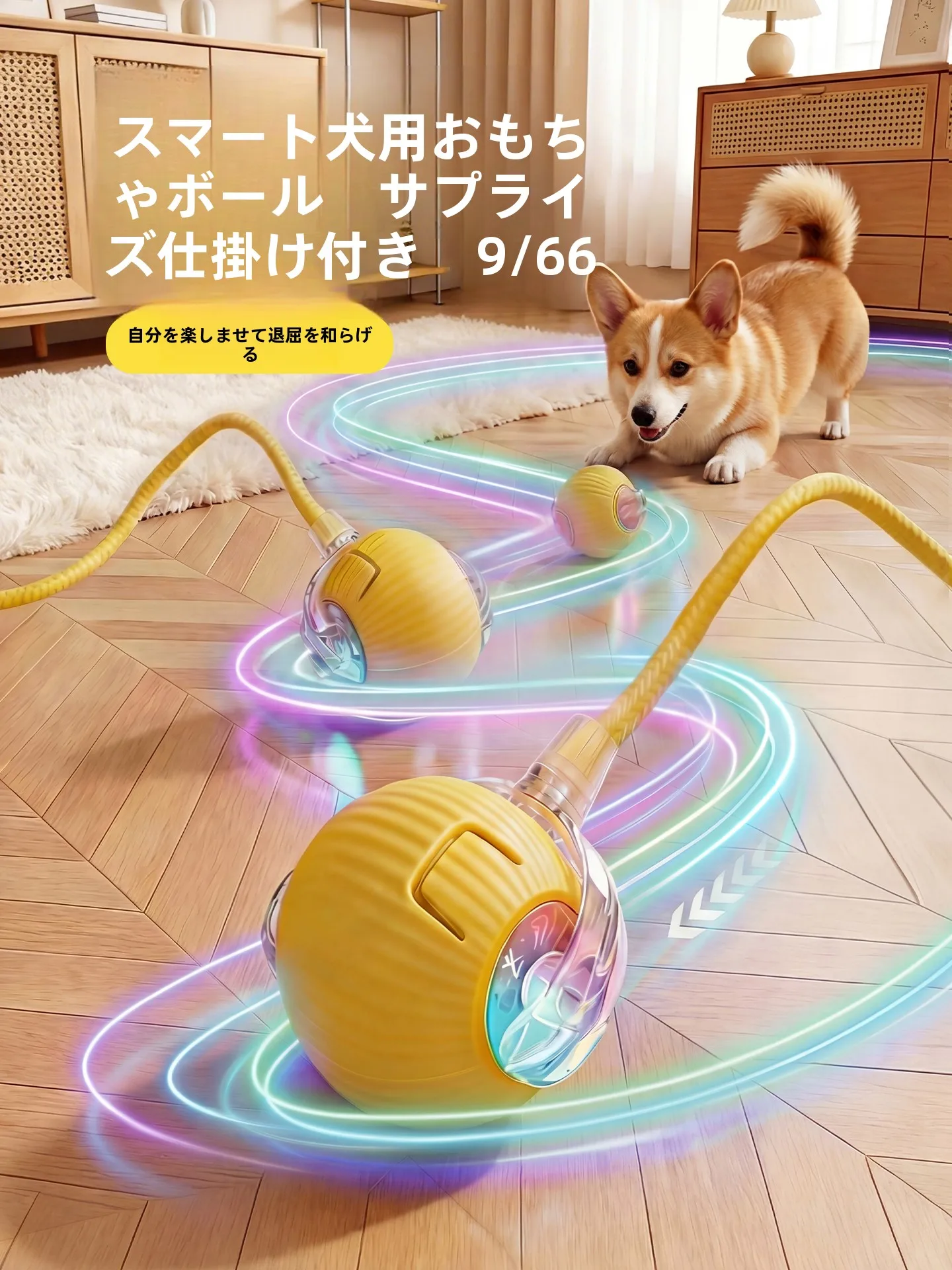 ペットの遊び時間がもはや「技術の進化」なのか？最新のペット用おもちゃに隠された、本当の温かさとは？