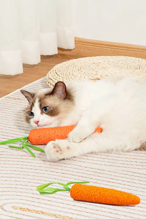 かわいい音声付きキャロット型猫おもちゃ【耐噛性・爪磨き・子猫用】