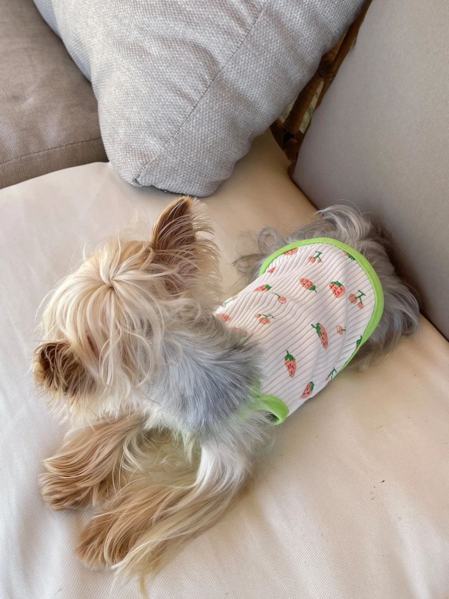 犬の夏用洋服：通気性と清涼感を実現する吊带スタイルの選定ガイド