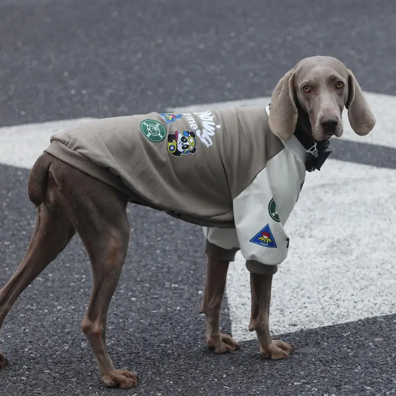 中大型犬用フリース入りボンバージャケット：秋冬の保温性能と実用性を徹底検証