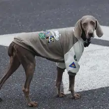 中大型犬用 フリース入り秋冬用ボンバージャケット【保温・ベースボールスタイル・ボーダー柄】