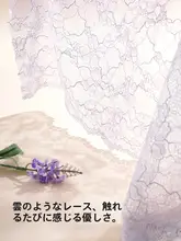 レース付き女性用ショーツ【薄手・通気性・中腰・大きいサイズ】