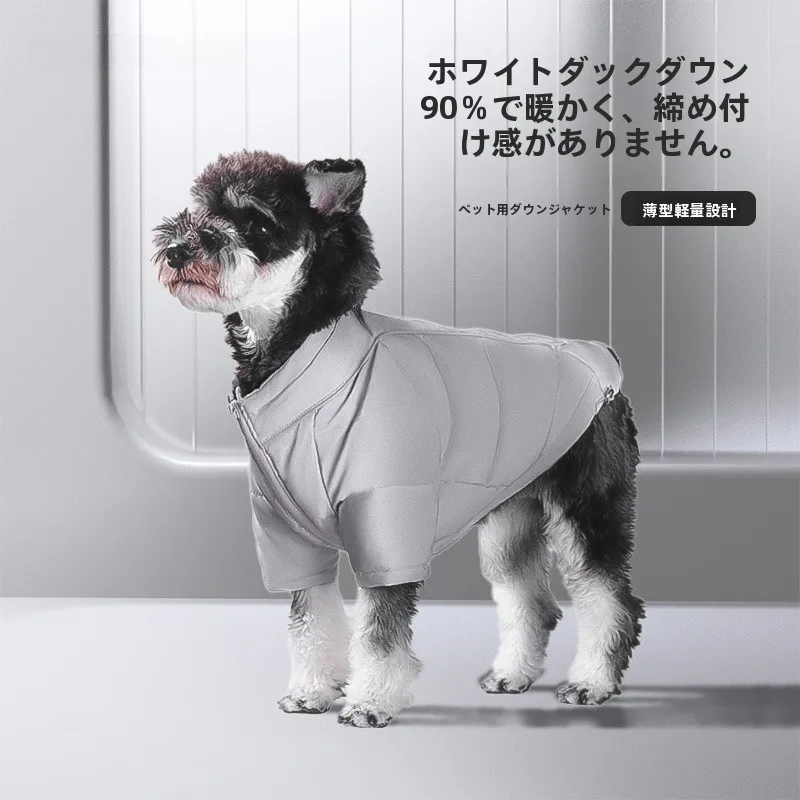 柴犬の通気性と防水性を両立できるレインコートは、今こそ選ぶべき？