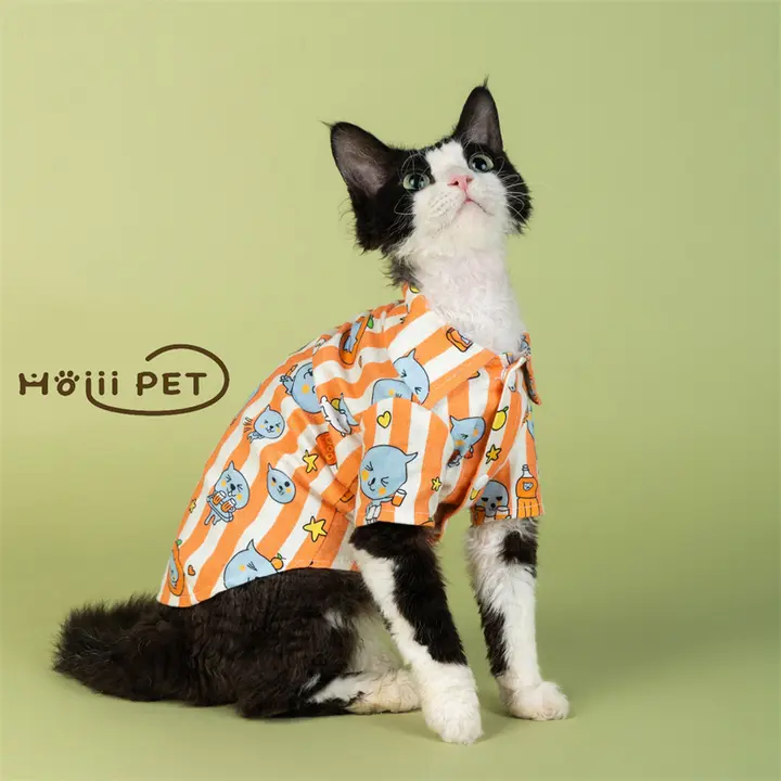 HOiii PET デボンレックス用 柔らかいオレンジジュース柄Tシャツ【純綿・猫用・スリープウェア】