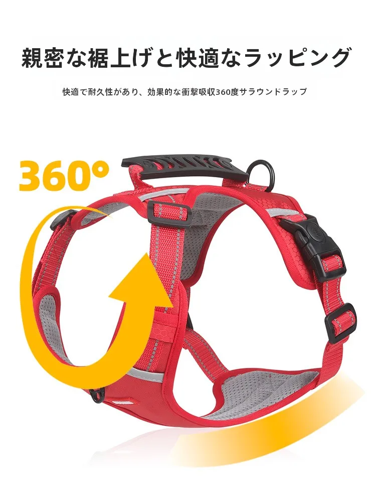 犬のお散歩グッズをコスパ良く揃える方法　完全ガイド