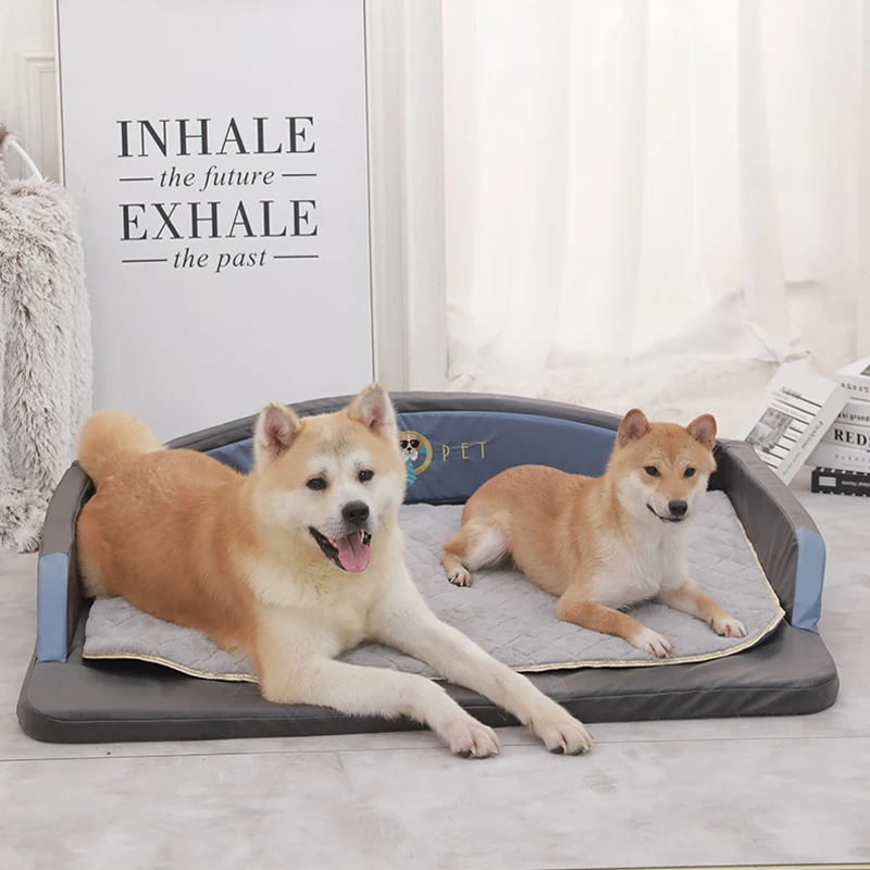 犬ひんやりベッドを選ぶべきタイミングは？冬の寒さに負けない、大型犬のための保温ベッドの選び方