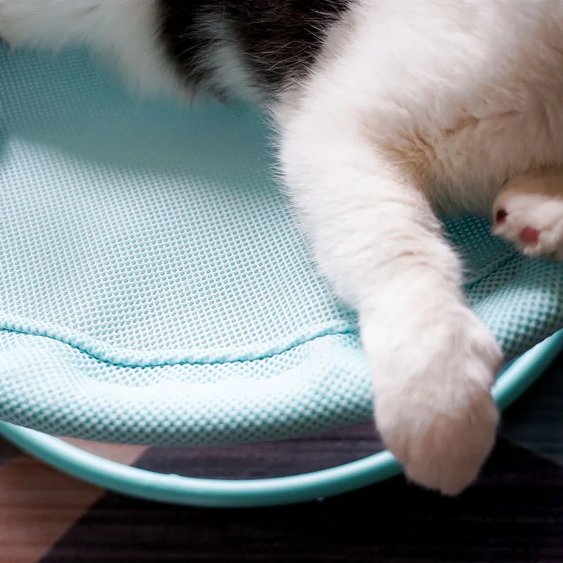 猫のためのベッドは、夏用で通気性が大事？吊り式の選び方を徹底解説