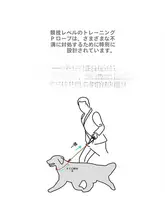 調整可能なハーネス付き犬用リード【小型犬用・長さ調整可・背中スタイル】