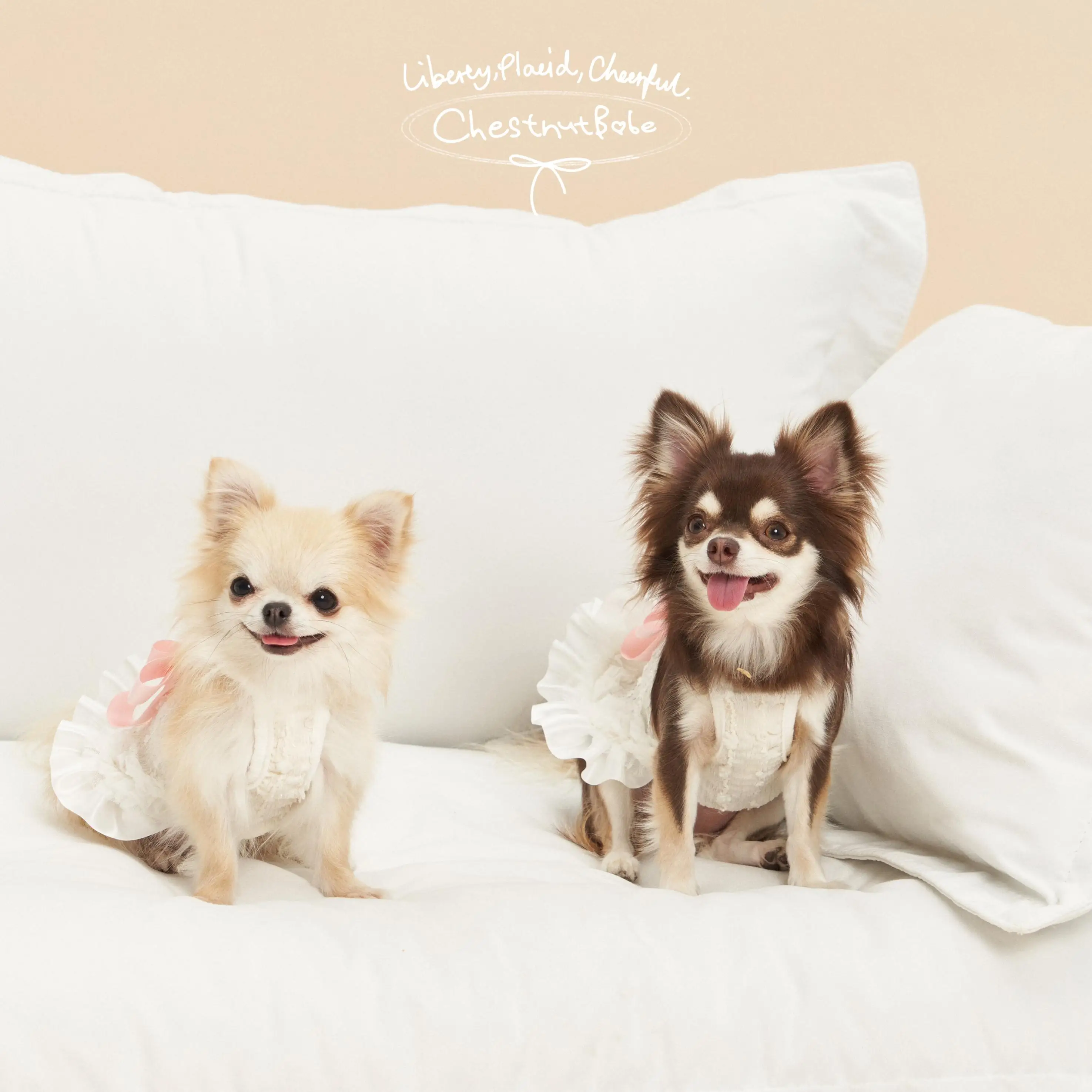 リボン付き犬用キャミソールドレス：かわいいデザインで夏の快適なペットウェア