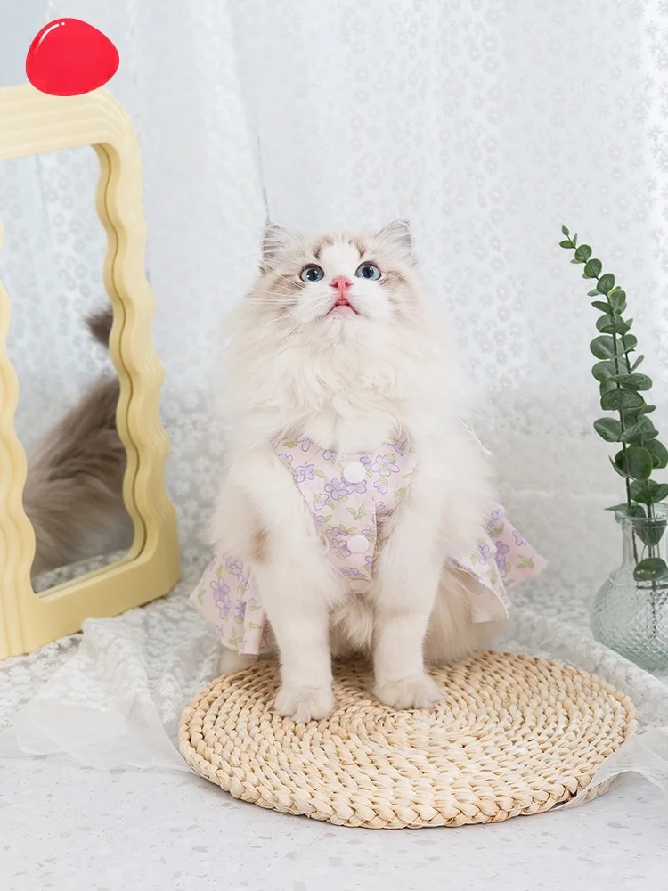 猫飼いが買ってよかったもの・悪かったもの正直に言う | 花柄レース付き子猫のドレスのサイズと通気性
