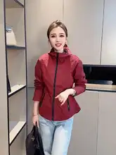 フード付きカジュアルジャケット【レディース・ウエストシェイプ・アクティブスタイル】（セッ  トアップ対応）