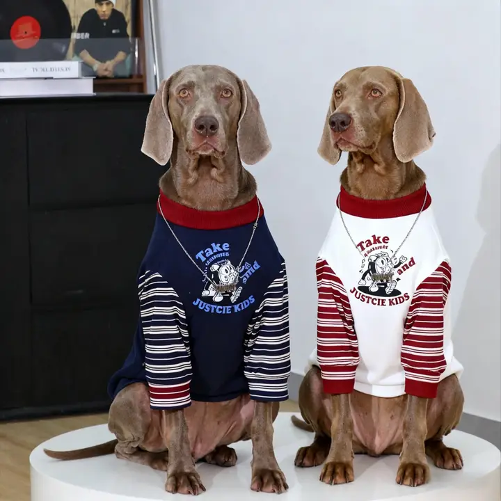 大型犬用 秋冬用セーター【ラブラドール・ゴールデン・ボーダーコリー・丸首・裏起毛】