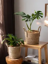 シンプルな草編み花盆【大サイズ・カラフル編みバスケット・観葉植物用】（セットアップ対応）