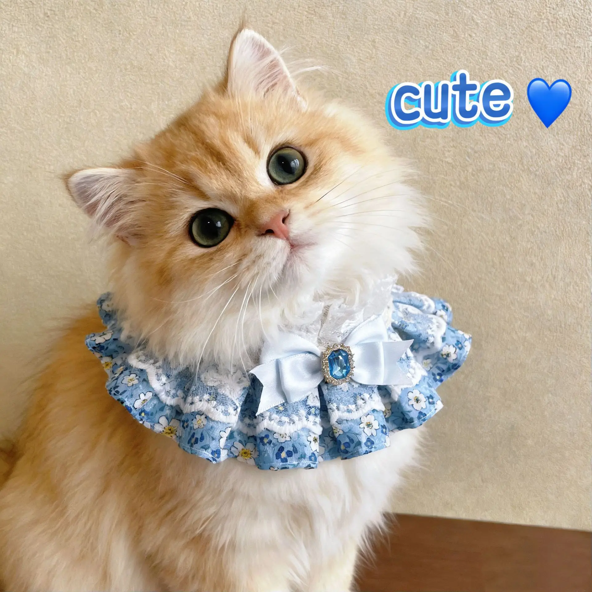 ペット用ダブルレイヤー首輪：リボン付きデザインで猫の体温維持をサポート