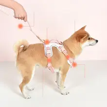 ペット用 中型・大型犬用ハーネス付きリード【胸部固定・移動用・軽量】