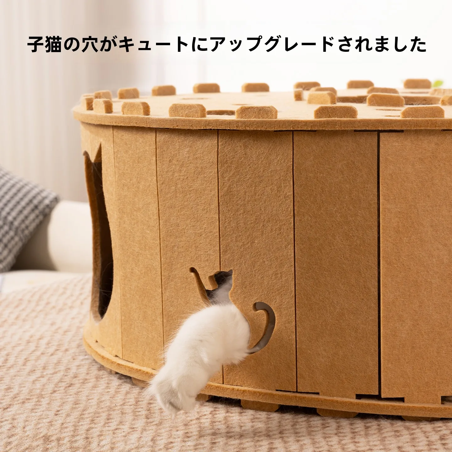 毛毡製の猫用爪とぎと巣に統合したキャットトンネル：中型猫向けの耐久性と複数猫対応設計