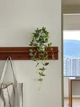 高級擬似植物 吊り下げ型グリーンディスプレイ【室内用・観葉植物風・装飾用】