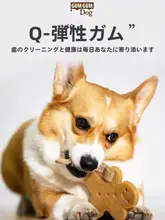 犬用 噛み玩具 歯磨き 鹿角 フラフープ型 音が出る 丈夫 解消 小型犬 中型犬 「GiGwi」