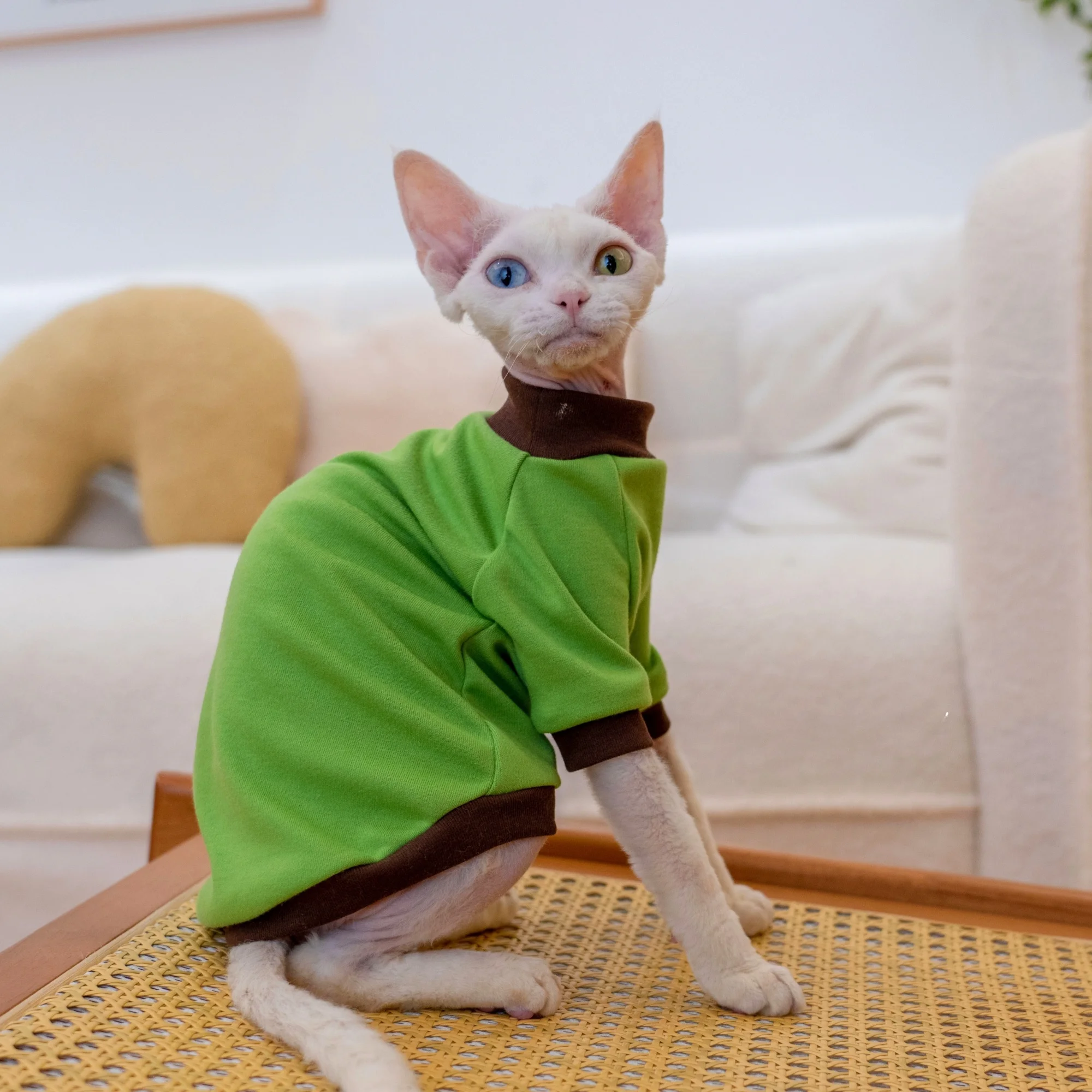 GINGERAIN コットン製デヴォンレックス猫用Tシャツ：一人暮らしに最適な夏用保温着用法とサイズガイド