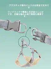 ペット用 犬用ハーネスリード【小型・中型犬対応・テディベア・散歩用】