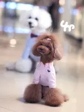 ペット服 小型犬 使用 犬と猫に適した 素材 快適なスタイル 軽量デザイン