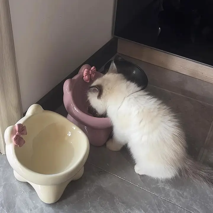 猫用陶器フードボウル【可愛いデザイン・水飲み兼用・転倒防止・首を守る】