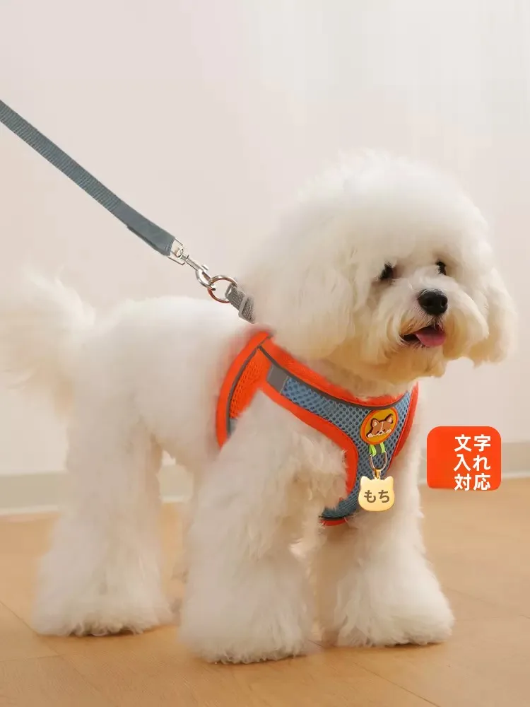 小型犬用リード：胸部ハーネスで安定したお散歩を実現