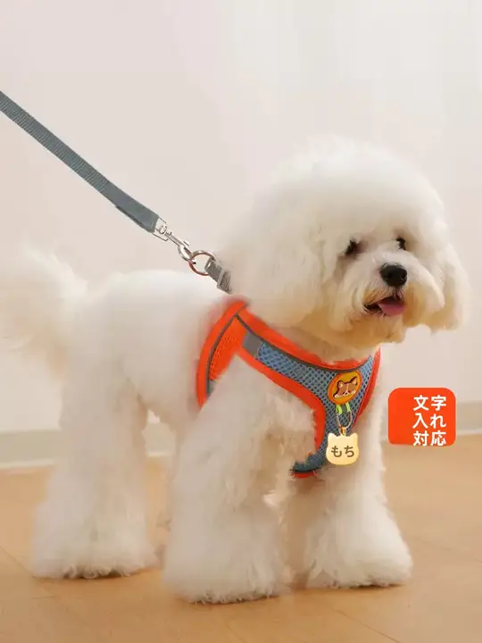 小型犬用リード【抜群の安定性・胸部ハーネス・お散歩に最適】