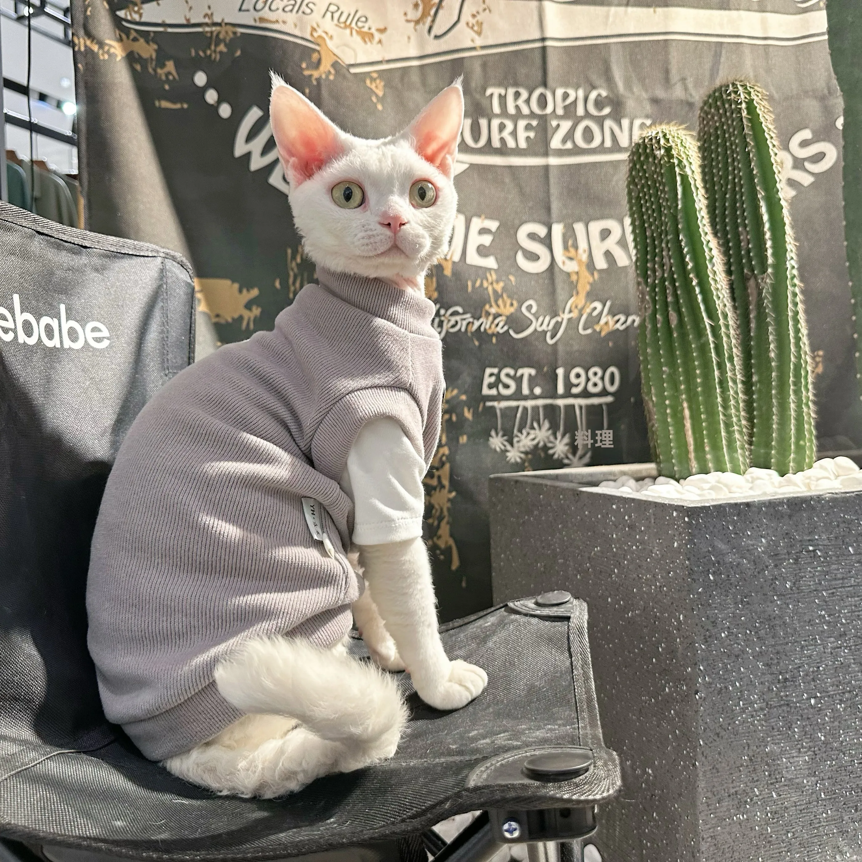 猫飼いが買ってよかったもの・悪かったもの正直に言う｜冬用加厚長袖シャツの実測ガイド