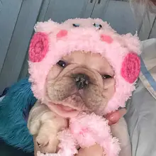 ペット用 猫耳キャップ【カートゥーンデザイン・可愛い・犬猫兼用】