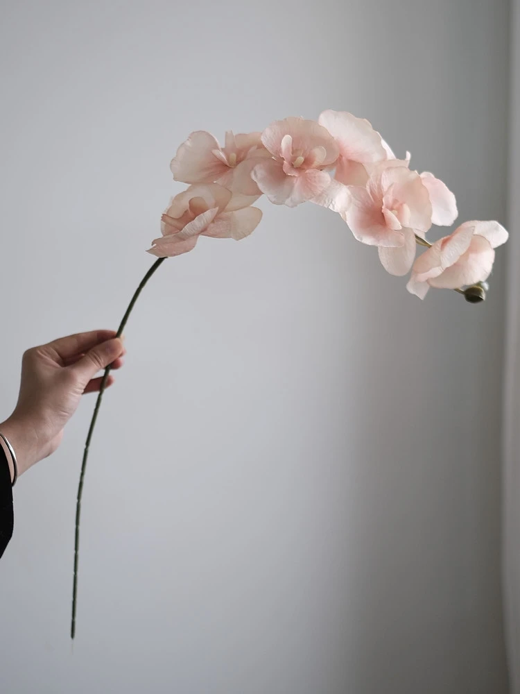 「造花 観 葉植物」を選ぶなら、この1本が今、日本の家に最も響いている理由は？