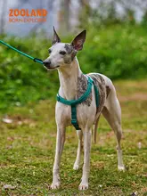 犬用ハーネス【引き締めない設計・小型から大型犬対応】