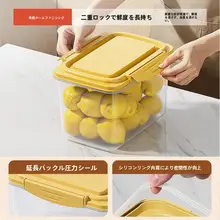 食品グレード抗菌冷凍保存ボックス【包子・餃子・ワンタン用・密閉タイプ】