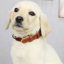 ペットリミット 犬用カラー【柴犬・フレンチブルドッグ向け・大型犬・中型犬・小型犬対応】