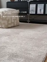 防水・防汚仕様の無洗・擦り洗い可能なラグ【リビング・寝室用・高級感】