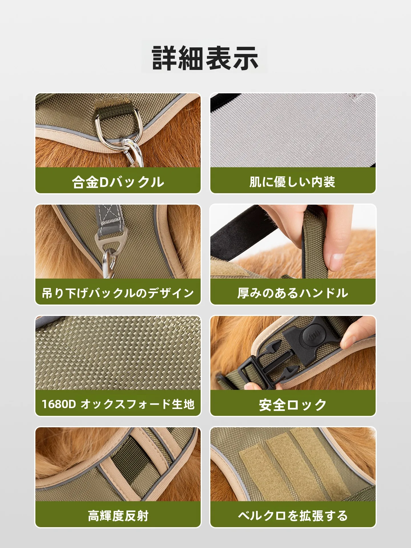中型犬用ハーネスとリードセット：胸部サポートと耐久性を両立した実用性の評価