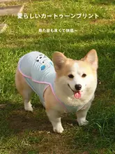 犬用夏用涼感ベスト【防虫・防汚・薄手・コーギー・シバ犬・プードル対応】