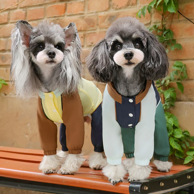 犬のお散歩グッズをコスパ良く揃える方法　完全ガイド