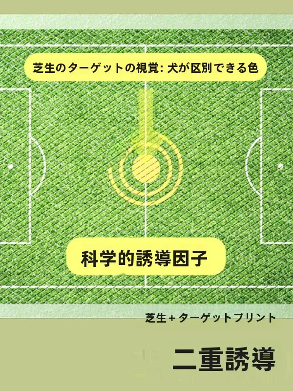 ペット用トイレシート：初心者に最適な厚手・抗臭タイプの選定ガイド