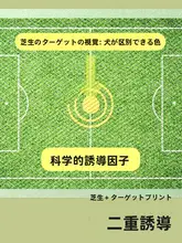 ペット用トイレシート【厚手・抗臭・猫犬兼用・外出用】