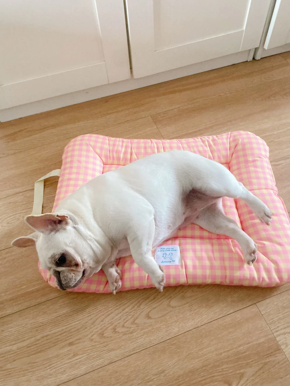 ペット用通年対応の柔らかい寝具：犬・猫用で四季を問わず快適な睡眠を実現