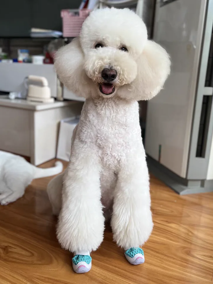 透湿性抜群の犬用シューズ【中大型犬・滑り止め・防脱着】