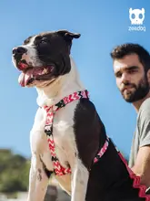 防爆ハーネス【中型から大型犬用・柴犬・コーギー・フレンチブルドッグ対応】